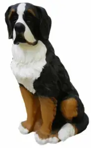 Matriță Câine Saint-Bernard